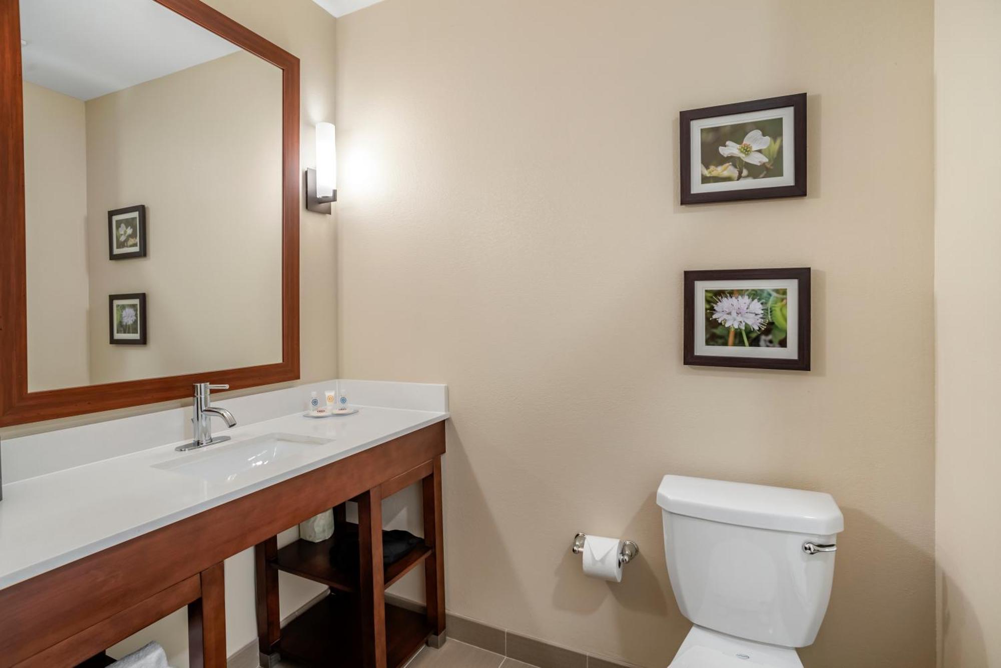 Comfort Inn & Suites Winchester Quarto foto